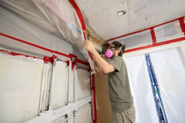 Best Mold Odor Removal Services  in Shrewsbury, NJ