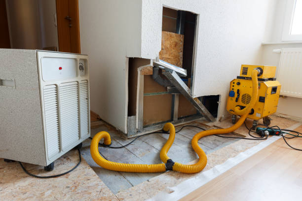 Best Environmental Consulting for Mold Prevention  in Shrewsbury, NJ