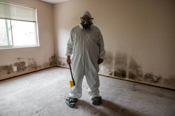 Best Biohazard Mold Removal  in Shrewsbury, NJ